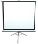 Projection Screen
