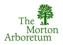 The Morton Arboretum logo